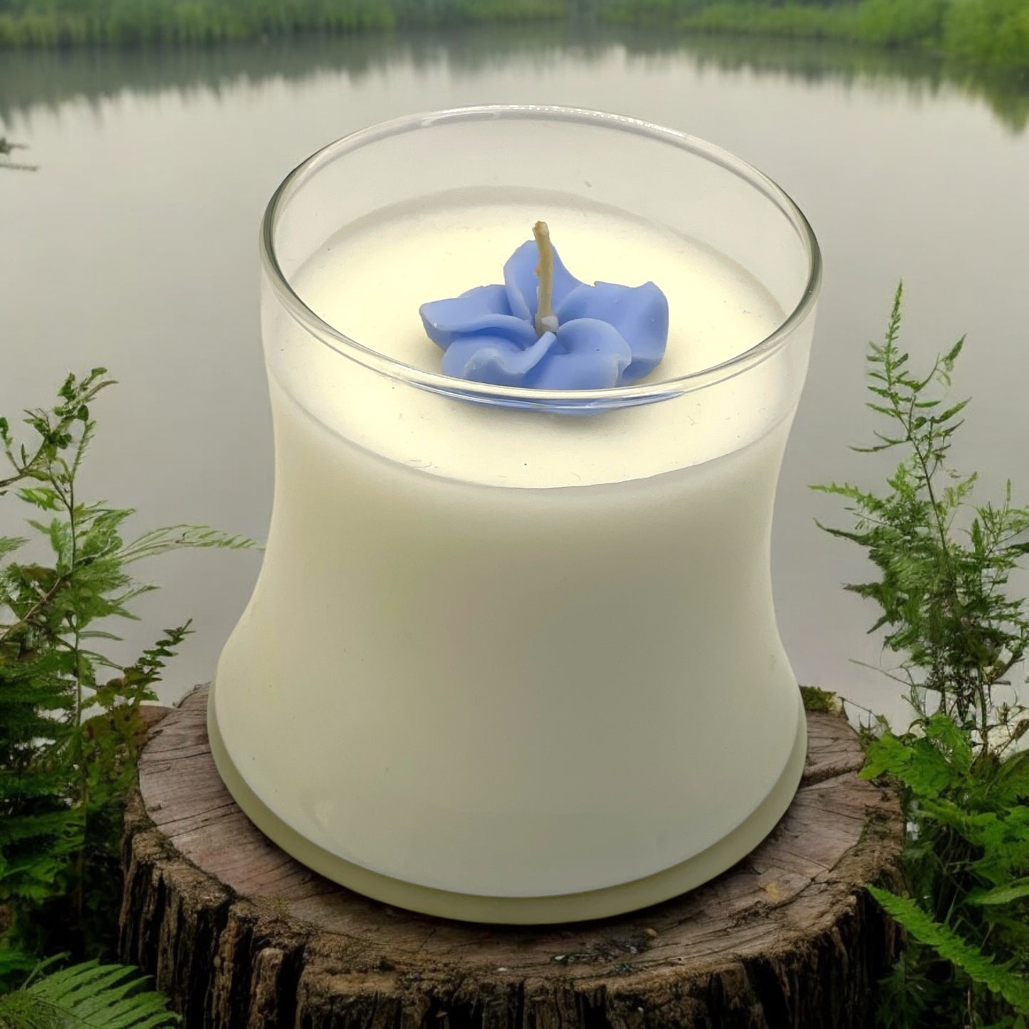 OASIS - Red Currant | Black Currant | Jasmine | Peach