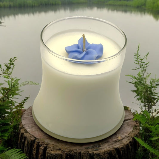 OASIS - Red Currant | Black Currant | Jasmine | Peach